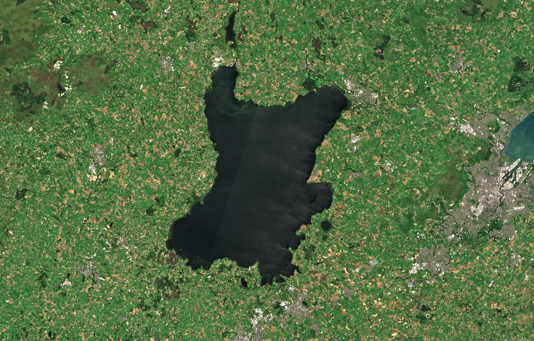 Sentinel-2 satellite view of Lough Neagh and surrounding Northern Ireland, with Belfast Lough visible to the east