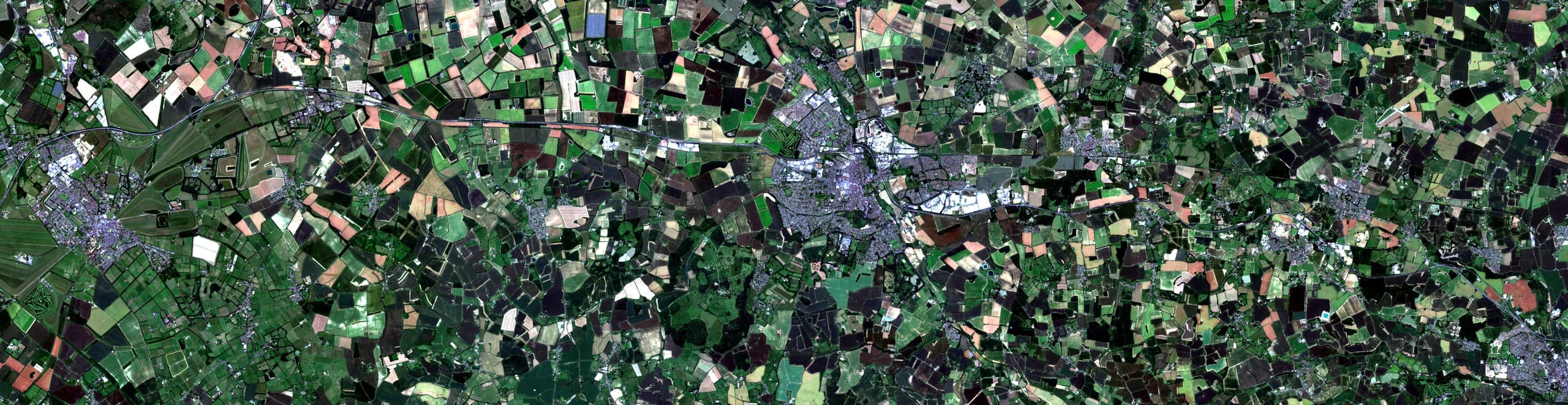 Satellite view of East Anglia, UK in June 2024: peak growing season across wheat and biomass crops