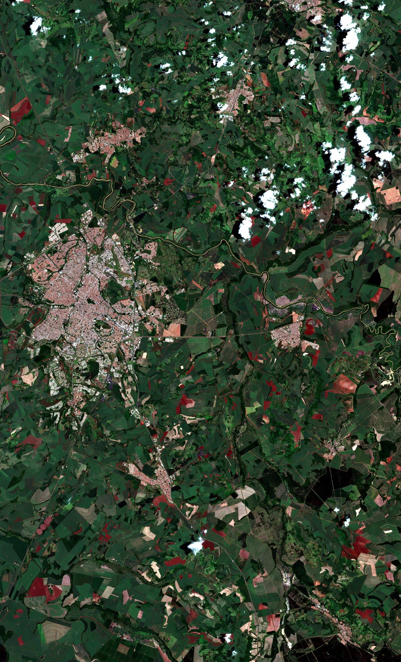 Satellite image of an agricultural region in São Paulo, Brazil, in late January 2024. Widespread green vegetation during the wet season.
