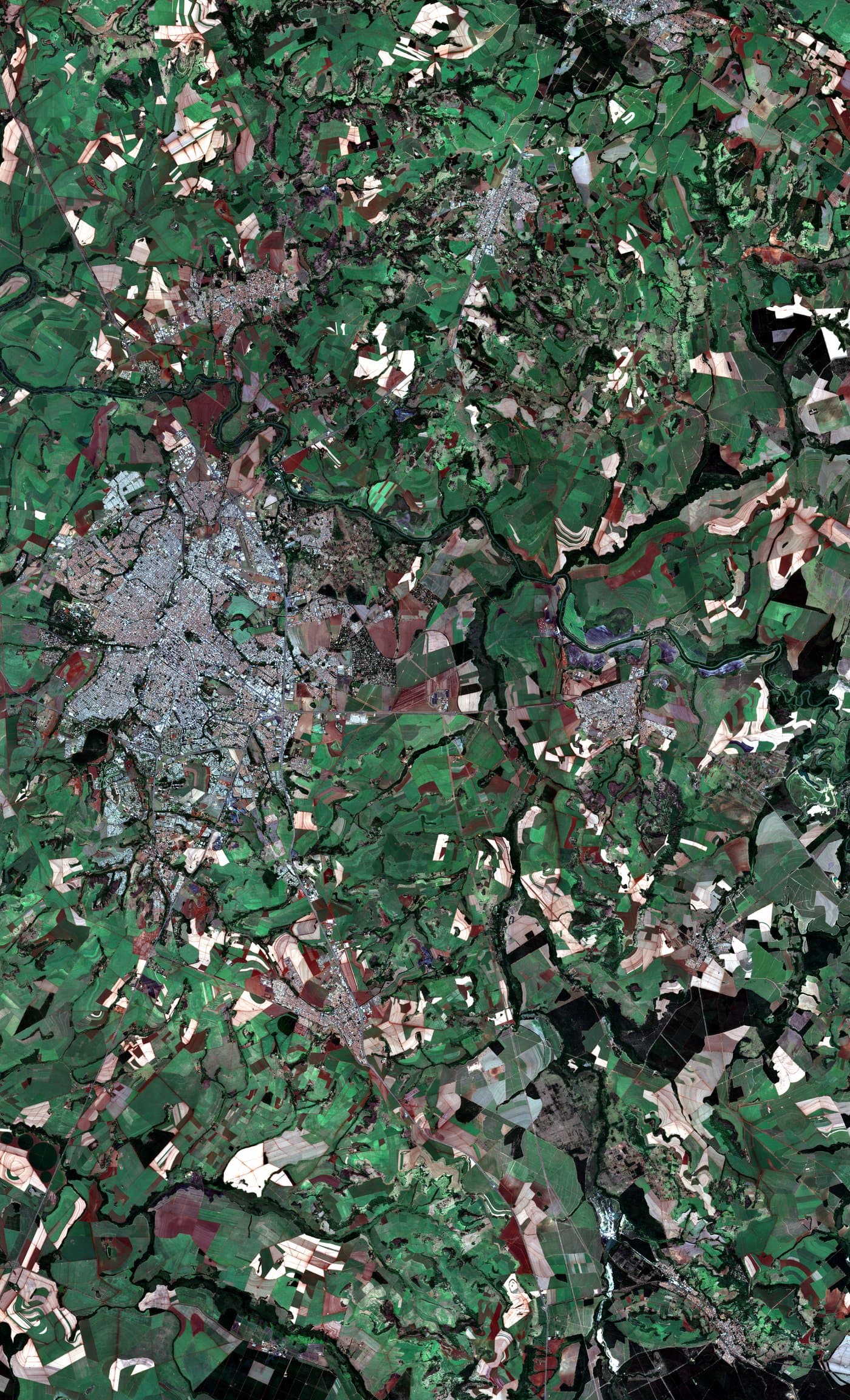 Satellite image of the same region in early June 2024, early dry season. Patchwork of vegetated and bare fields.