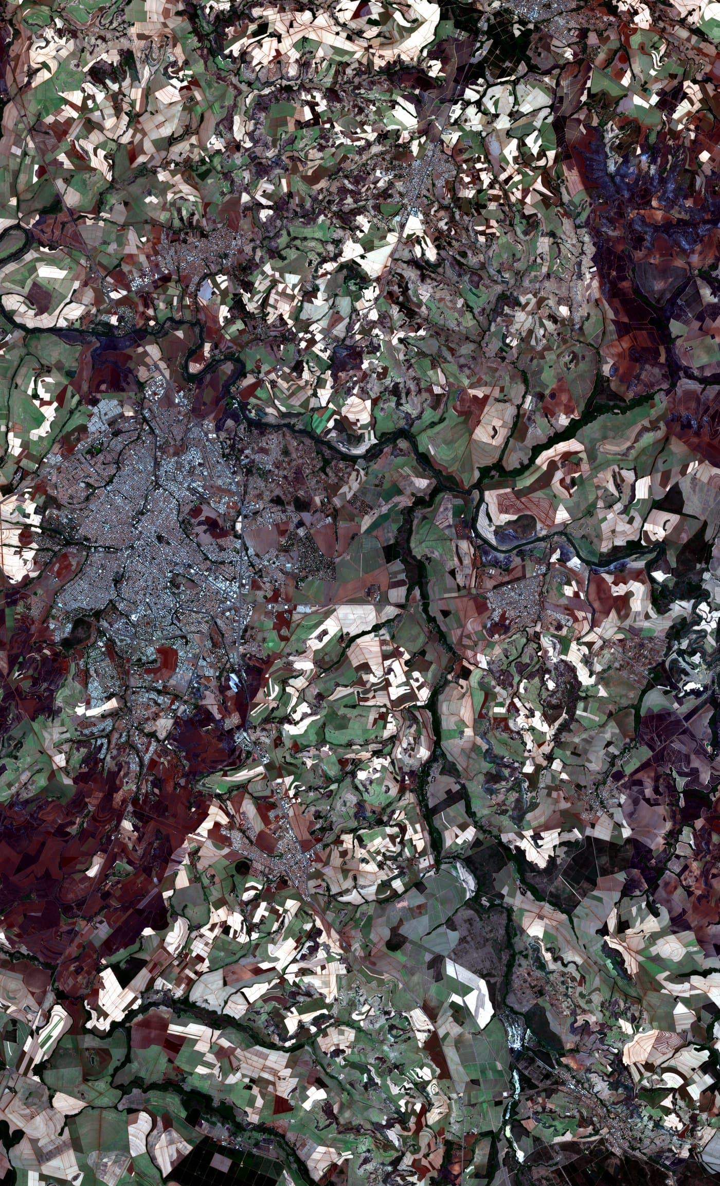 Satellite image of the same region in late August 2024, mid dry season. Distinct mosaic of cleared and standing fields.