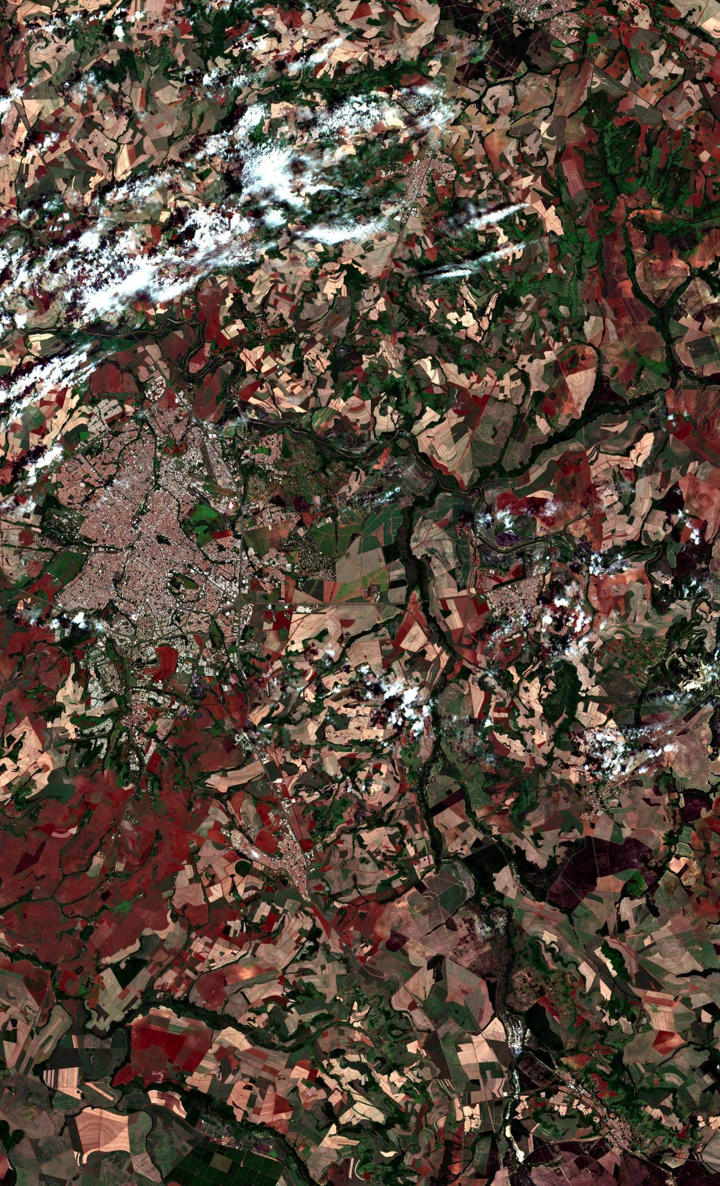 Satellite image of the same region in late November 2024, late dry season. Mixed field states across the region.