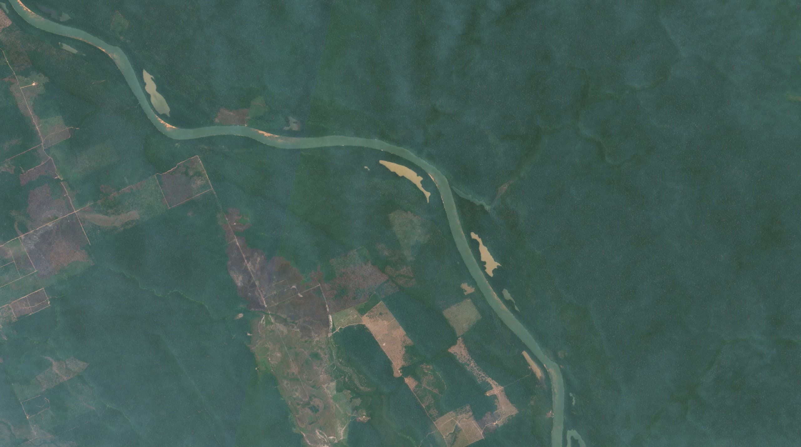 Satellite image of the same site, September 2022, showing significant canopy loss.