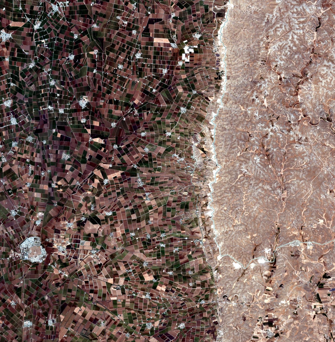 Satellite image of the same site in late June 2024, mid-summer. Mixed pattern of bare and vegetated fields.
