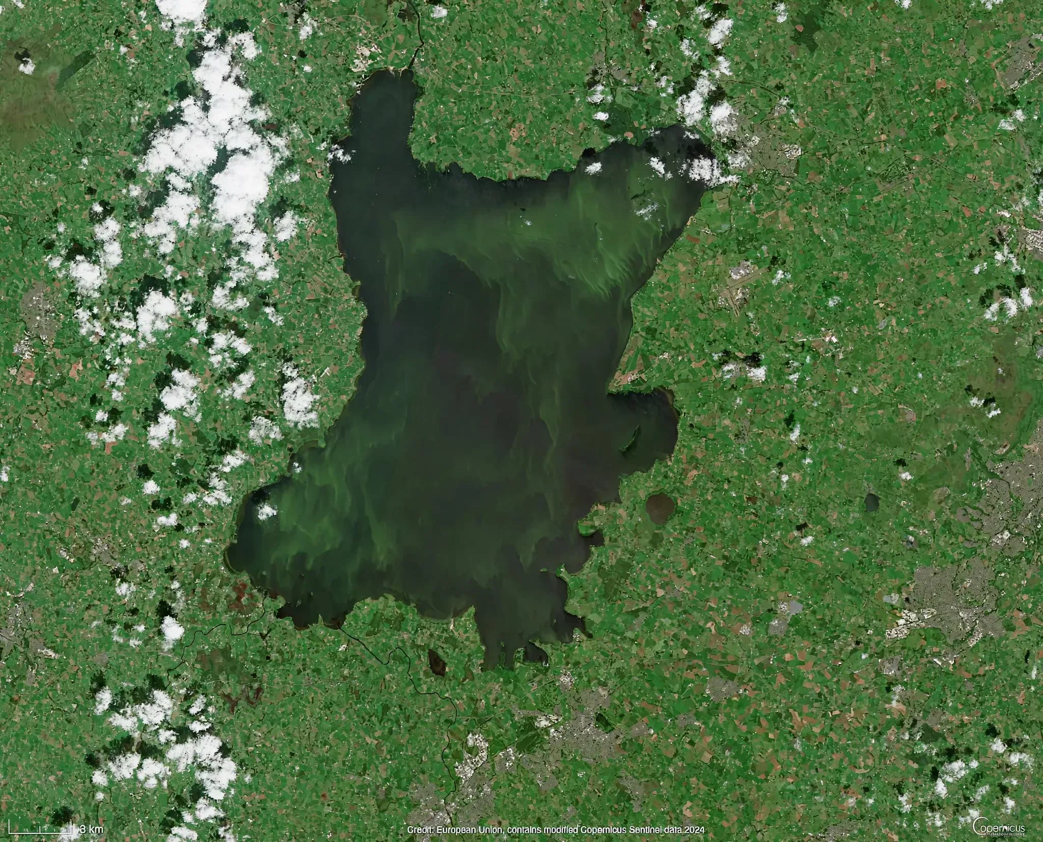 Sentinel-2 satellite imagery of Lough Neagh, July 2024